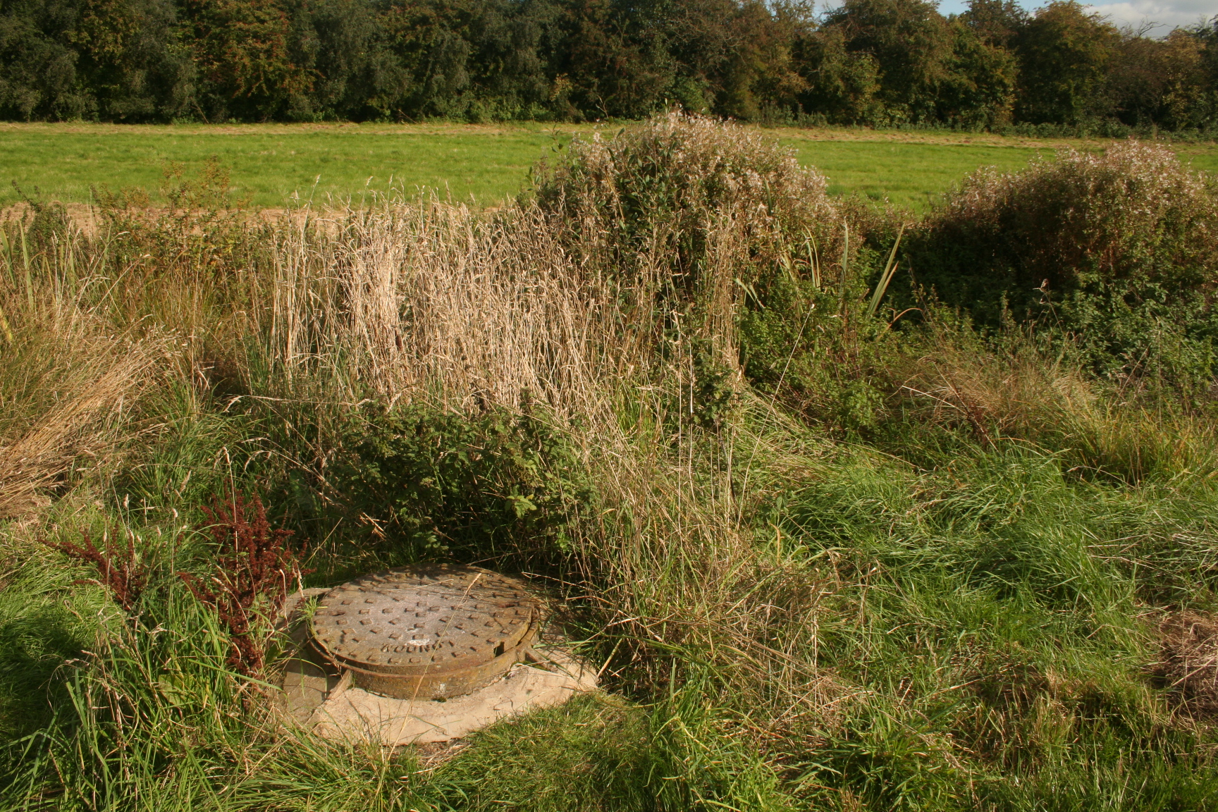 Hawkes Mill Pool